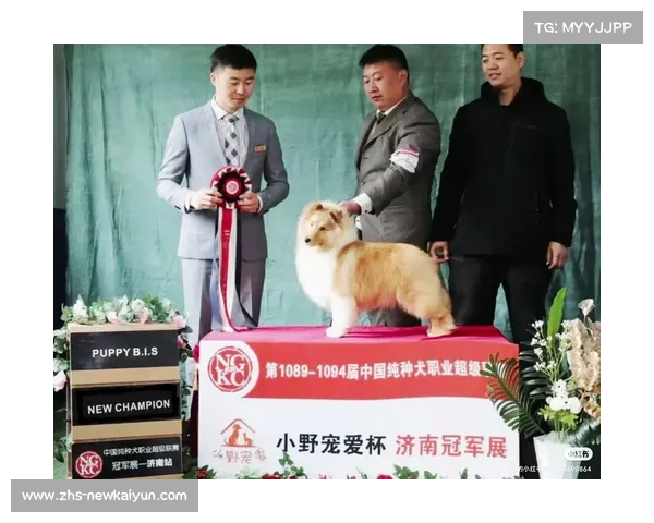 挑战亚洲冠军:足球盛宴掀起狂潮 挑战亚洲冠军:足球盛宴掀起狂潮